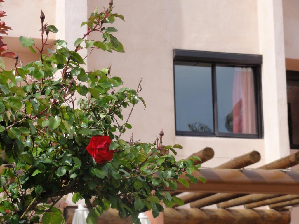 Hotel L'Hacienda マルティーグ エクステリア 写真