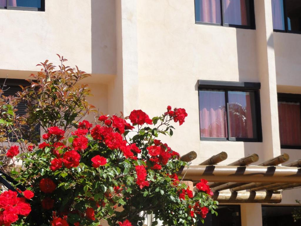 Hotel L'Hacienda マルティーグ エクステリア 写真
